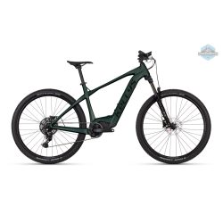 KELLYS Tygon RS10 P Pine Forest XL 29" 725Wh