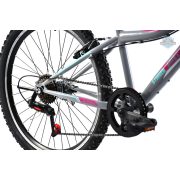 Adria Stinger 24" gyerek kerékpár Grafit-Rózsaszín