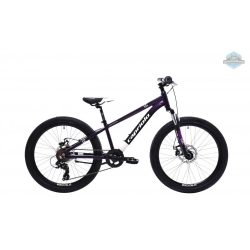 Capriolo LC KID 240 24" gyerek kerékpár Lila