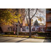 Cube AMS SL karbon MTB 29“, összeteleszkópos - használt