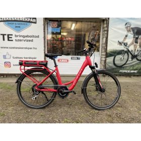 E-bike / pedelec